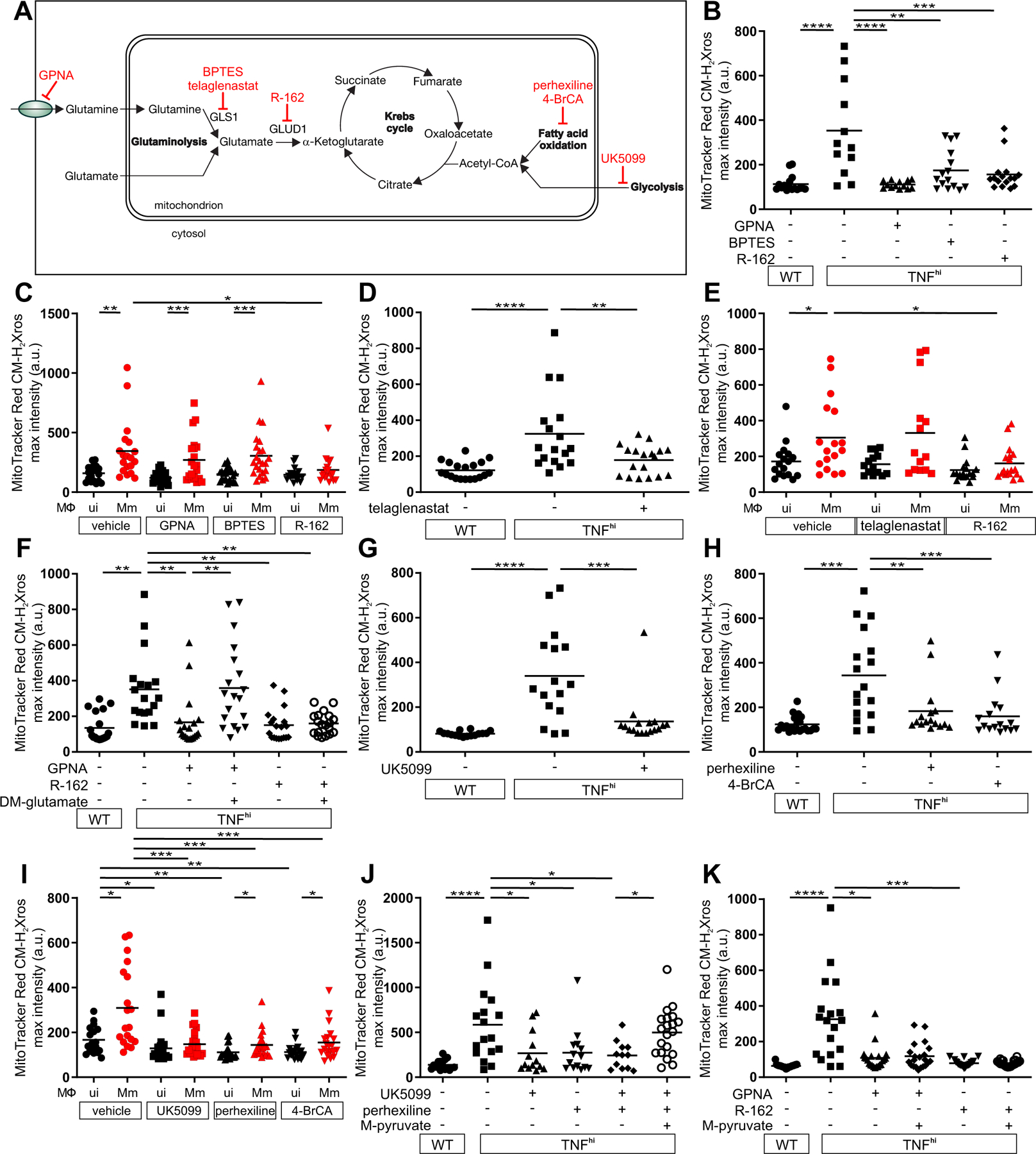 Figure 4: