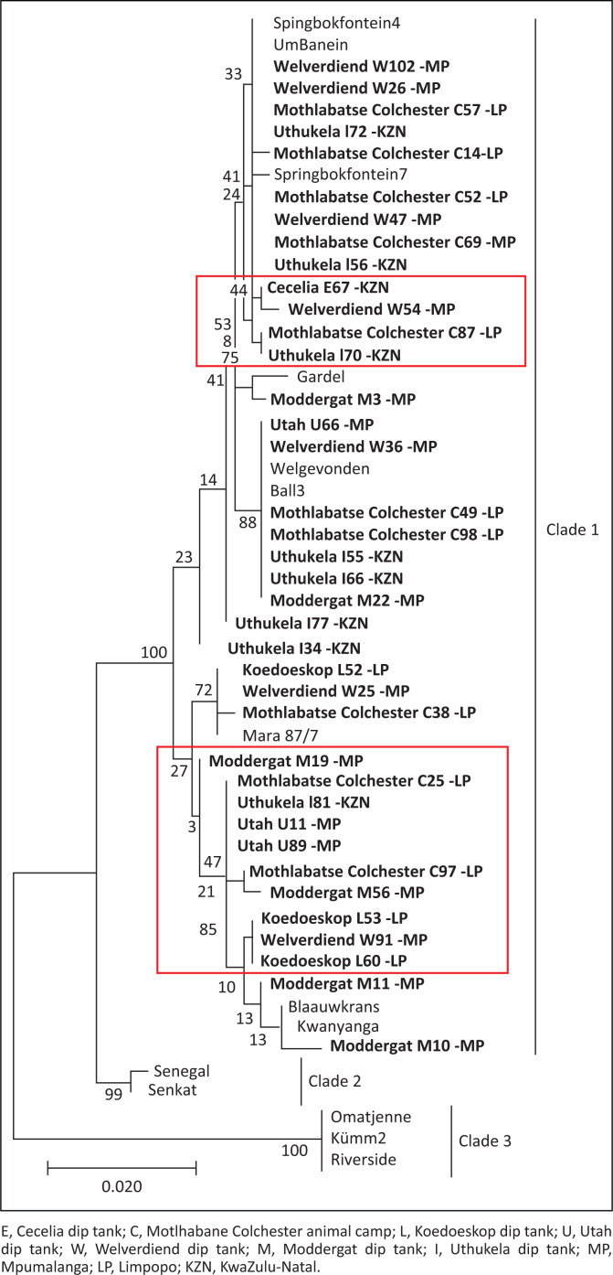 FIGURE 3