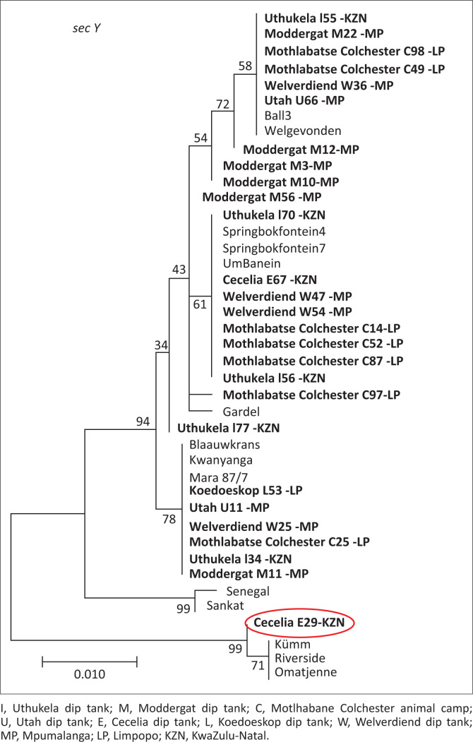 FIGURE 4