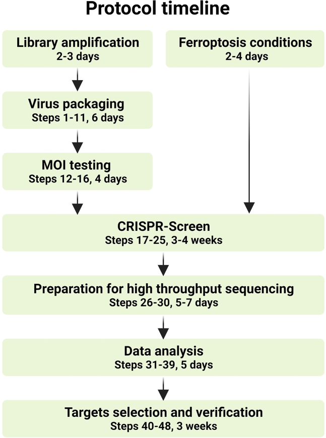 Figure 1