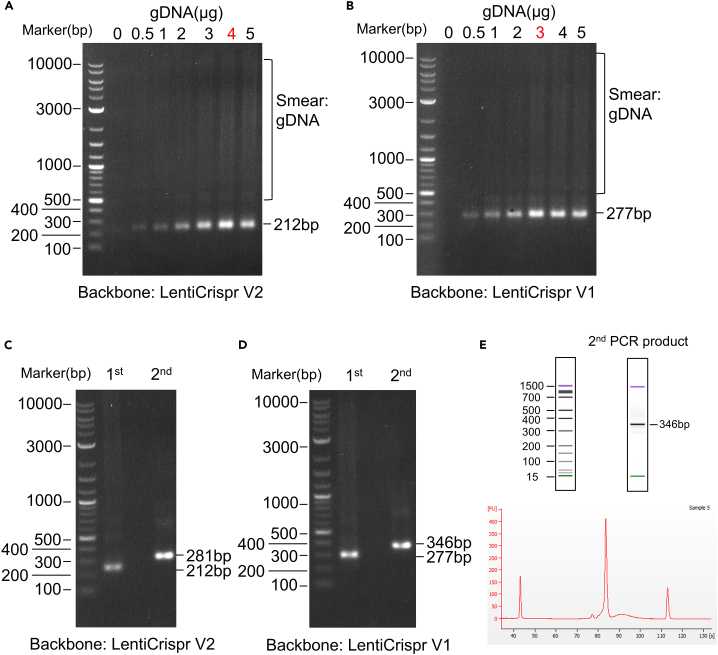 Figure 4