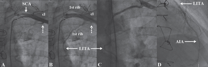 Figure 1)