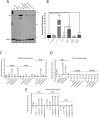 Figure 3—figure supplement 2.