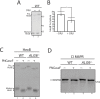 Figure 2—figure supplement 3.