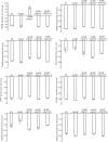 Figure 3—figure supplement 1.