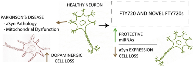 graphic file with name nihms-1676487-f0001.jpg