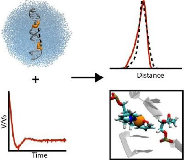 graphic file with name nihms-1646138-f0017.jpg