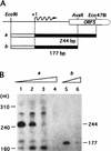 FIG. 7