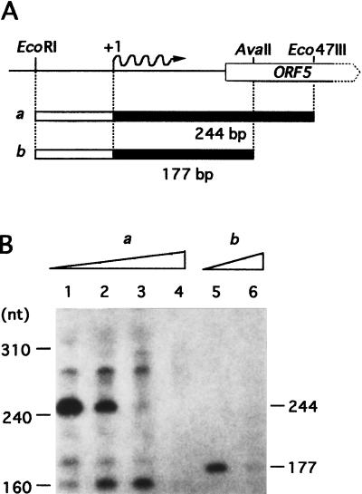 FIG. 7