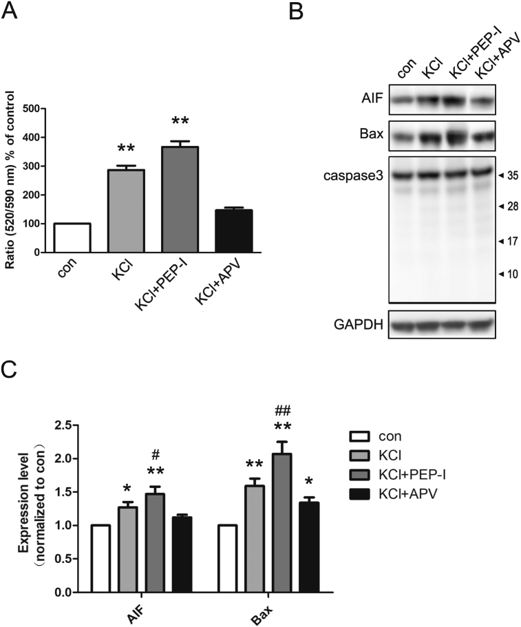 Fig. 4