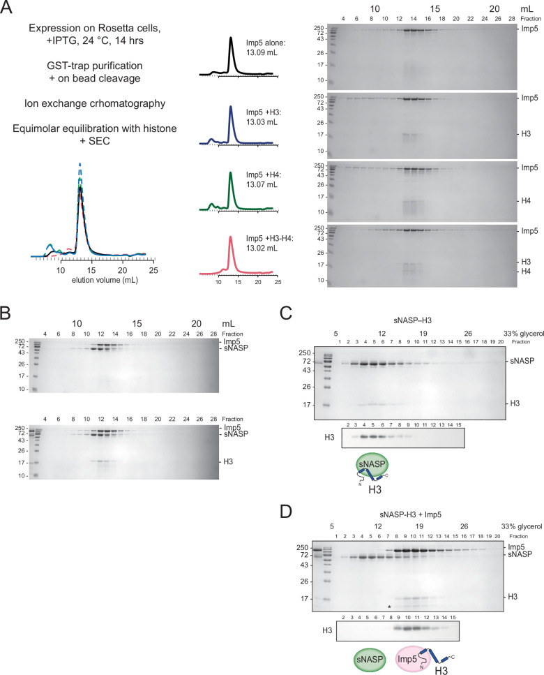 Figure 4—figure supplement 1.