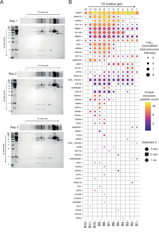 Figure 3—figure supplement 3.