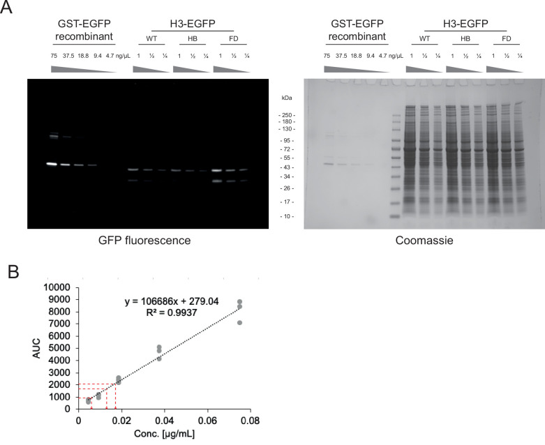 Figure 1—figure supplement 1.