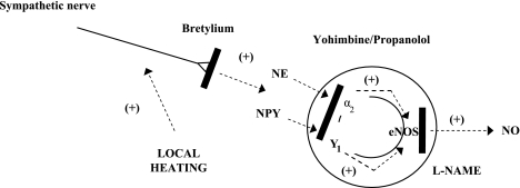 Fig. 8