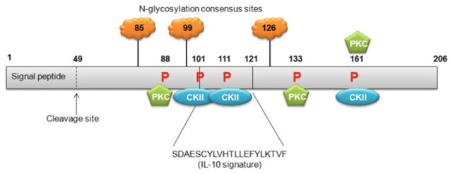 Fig. 6.1