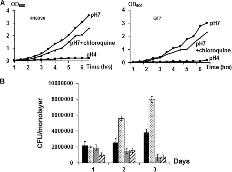 FIG 6