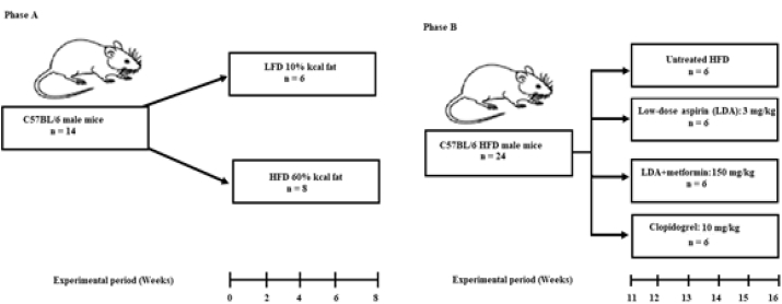 Fig. 1