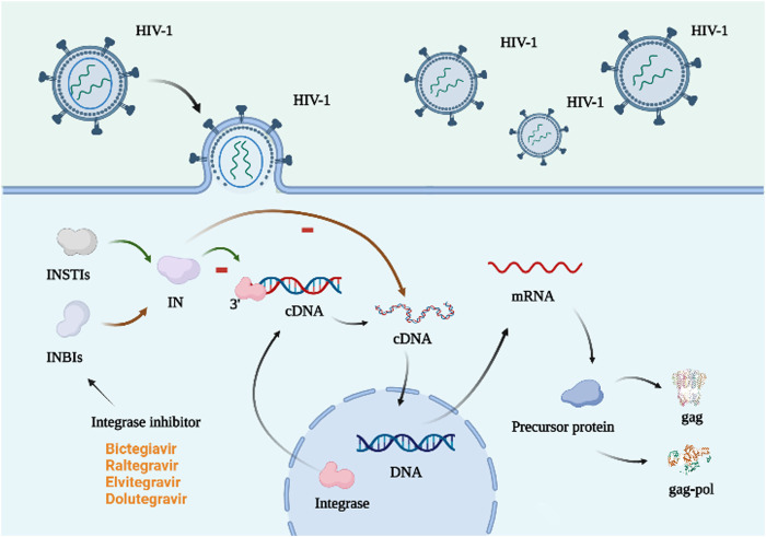 FIGURE 4