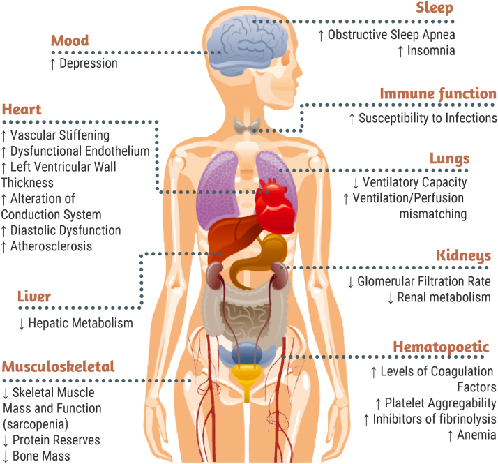 Figure 2