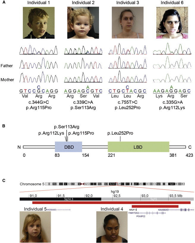 Figure 1