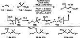Scheme 11
