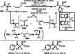 Scheme 192