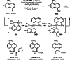 Scheme 95
