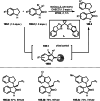 Scheme 185