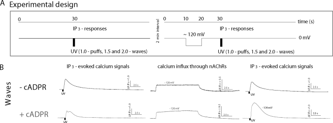 FIGURE 1.