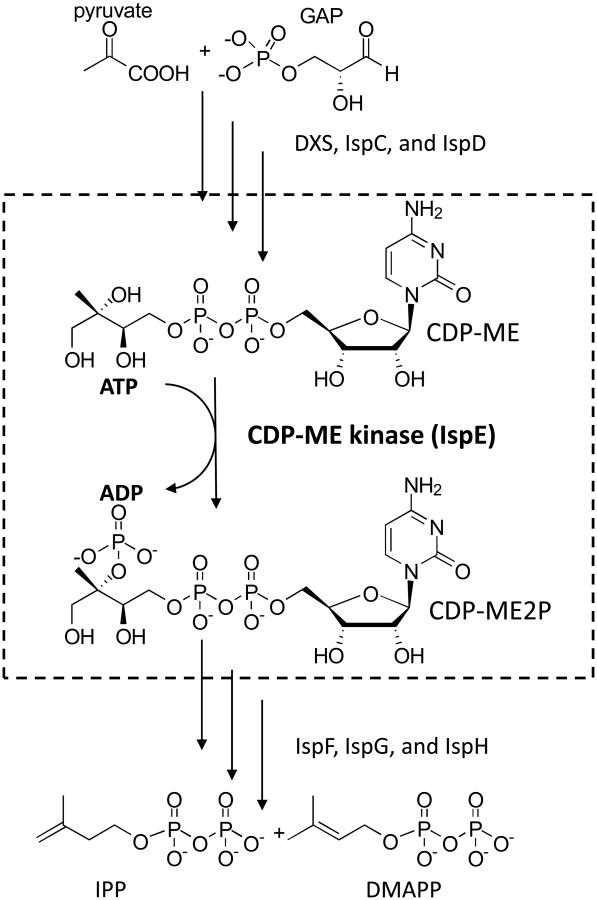 Fig. 2