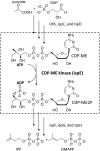 Fig. 2