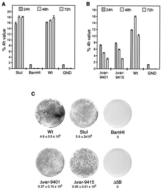 FIG. 2.