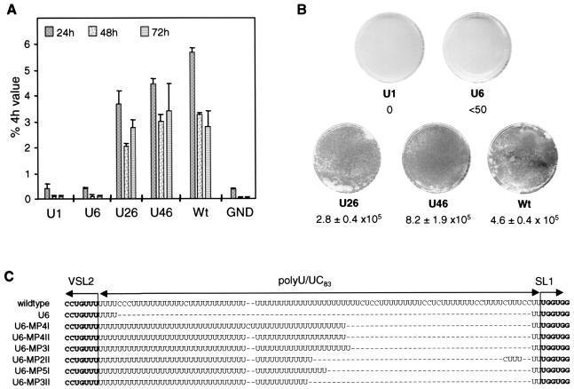 FIG. 3.