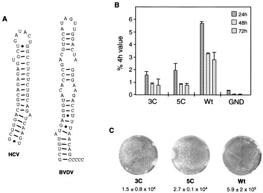 FIG. 7.