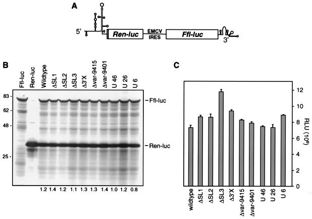 FIG. 6.