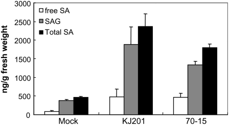 Figure 7.