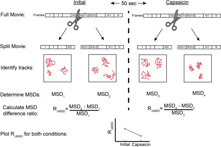 Figure 6—figure supplement 1.