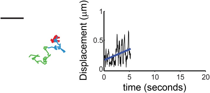 Figure 7—figure supplement 1.