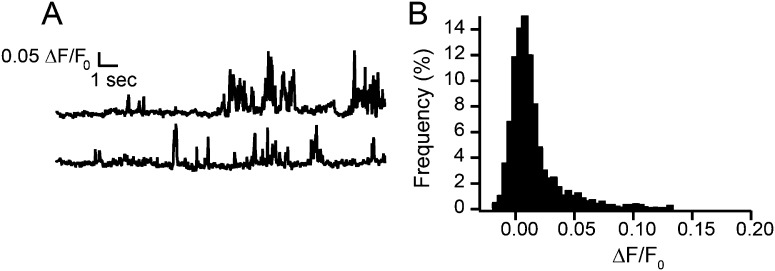 Figure 2—figure supplement 1.