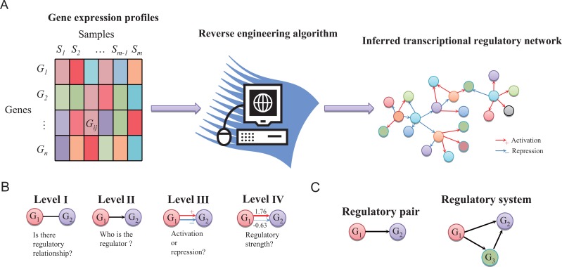 Fig. (1)