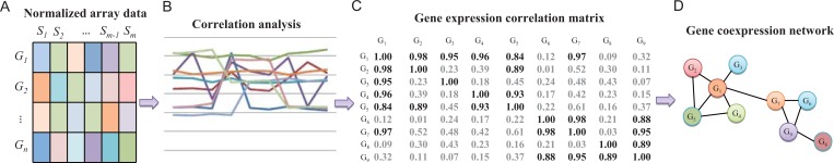 Fig. (2)