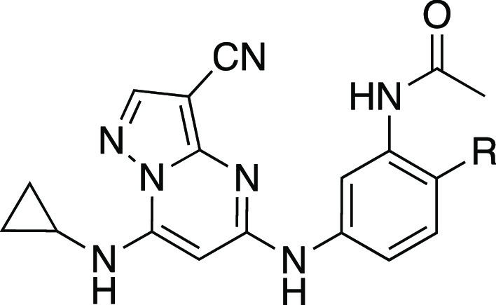 graphic file with name cb2c00378_0009.jpg
