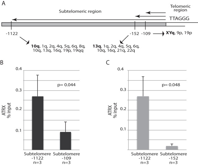 FIG 2