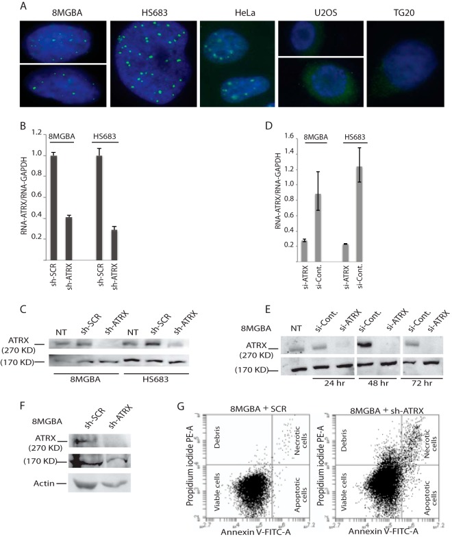 FIG 3