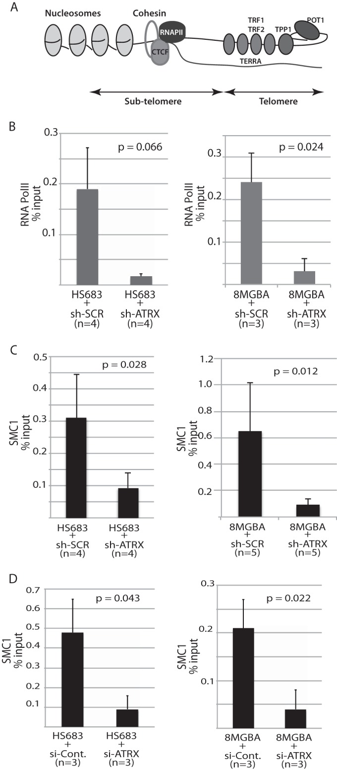 FIG 6