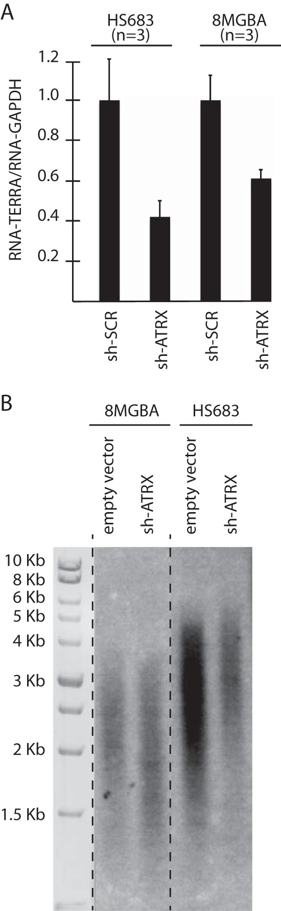 FIG 5