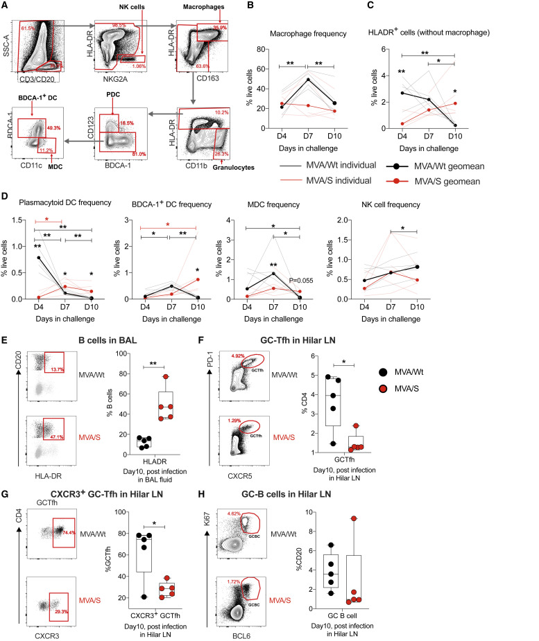 Figure 6