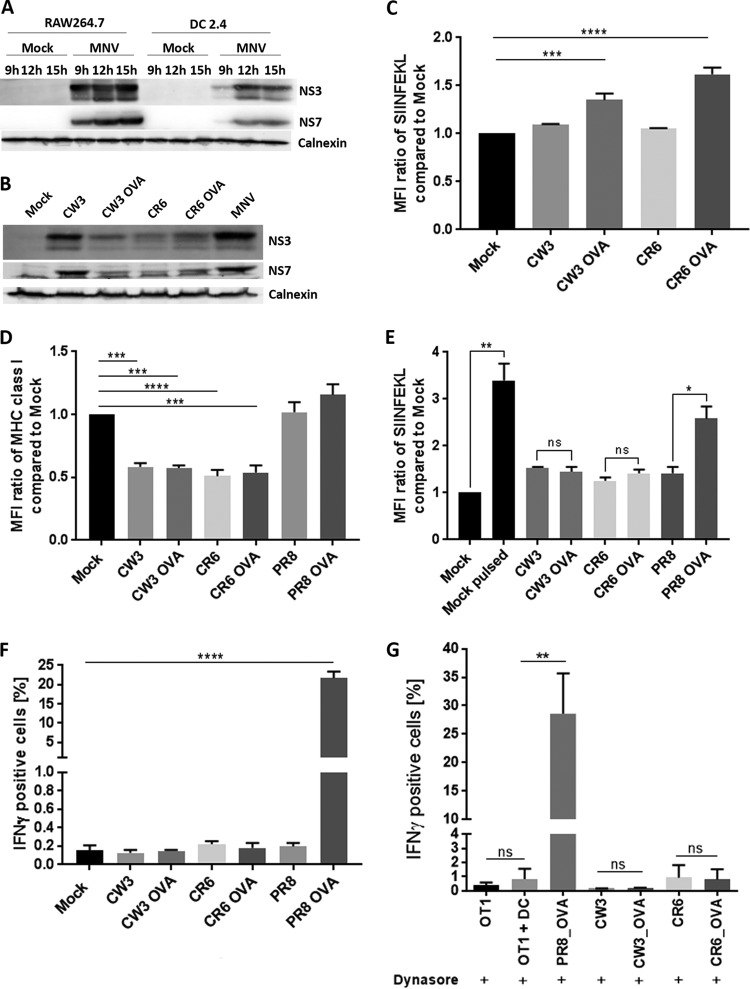 FIG 6