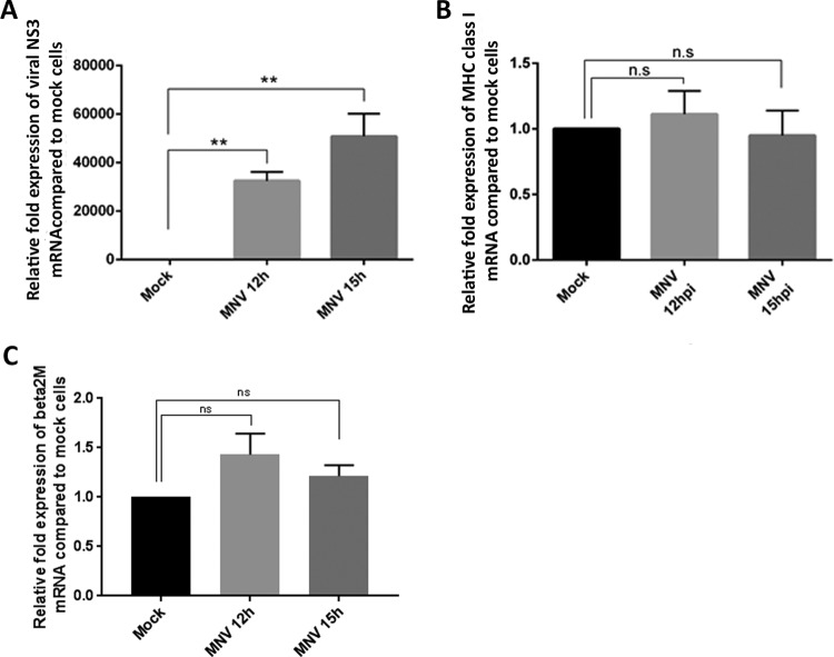 FIG 2