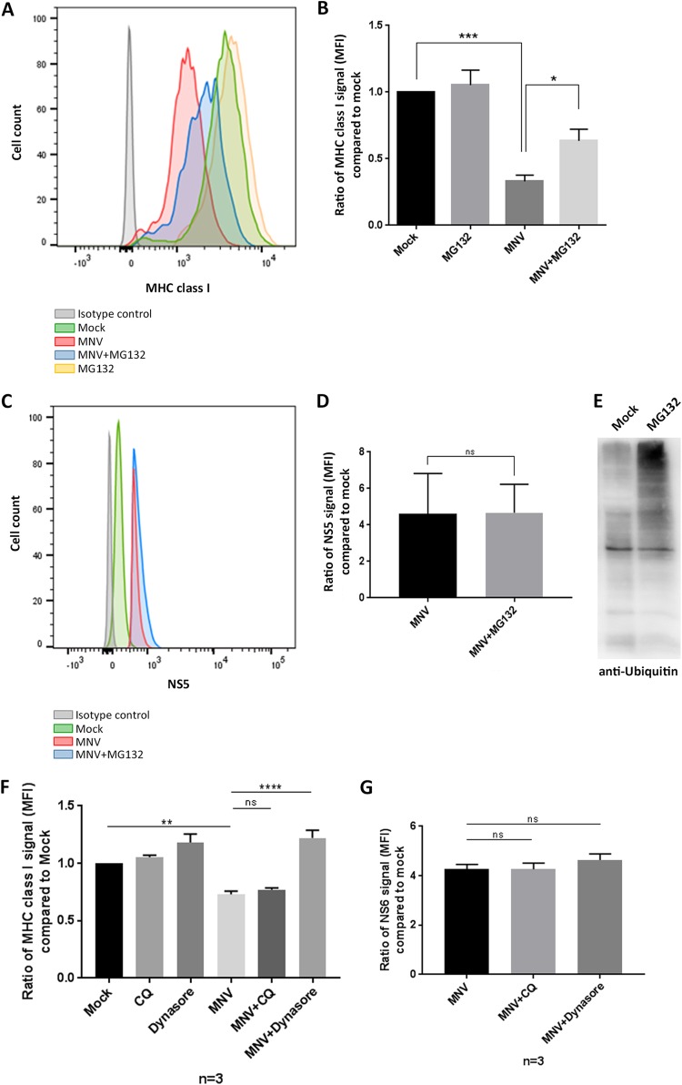 FIG 3